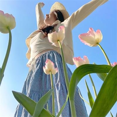 圣塔芭芭拉的盛宴